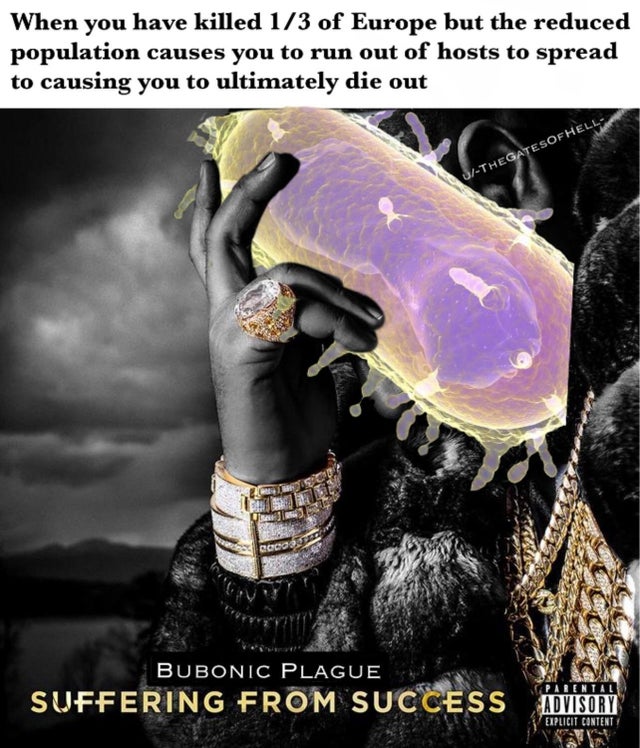 history meme - dj khaled suffering from success - When you have killed 13 of Europe but the reduced population causes you to run out of hosts to spread to causing you to ultimately die out Thegatesofhell Bubonic Plague Suffering From Success Advisory Expl