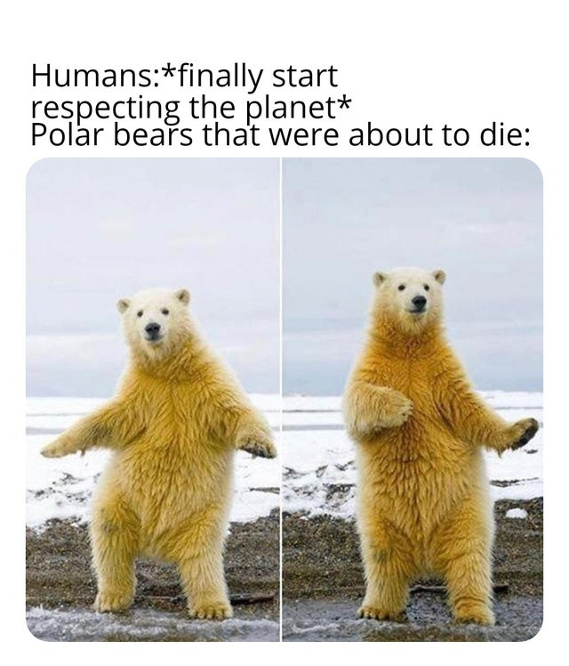 you finally understand something in maths - Humansfinally start respecting the planet Polar bears that were about to die