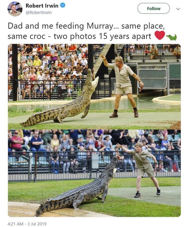 steve irwin son feeding crocodile - Robert Irwin Dad and me feeding Murray... same place, same croc two photos 15 years apart