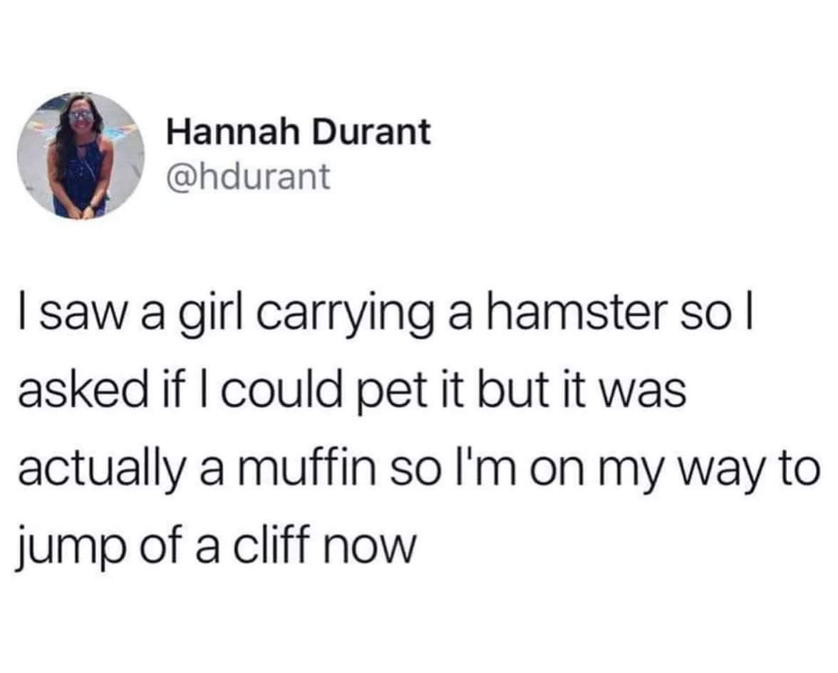 game of thrones whore quote - Hannah Durant I saw a girl carrying a hamster so| asked if I could pet it but it was actually a muffin so I'm on my way to jump of a cliff now