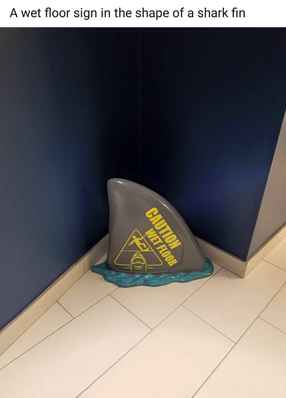 floor - A wet floor sign in the shape of a shark fin Ver Wet Floor Caution Va