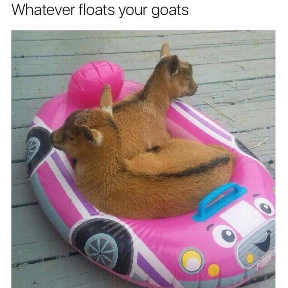 whatever floats your goats - Whatever floats your goats