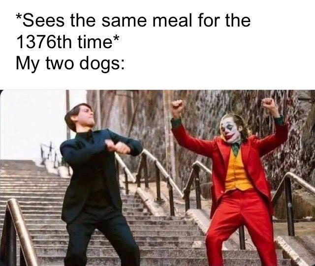 Clown Memes - Sees the same meal for the 1376th time My two dogs