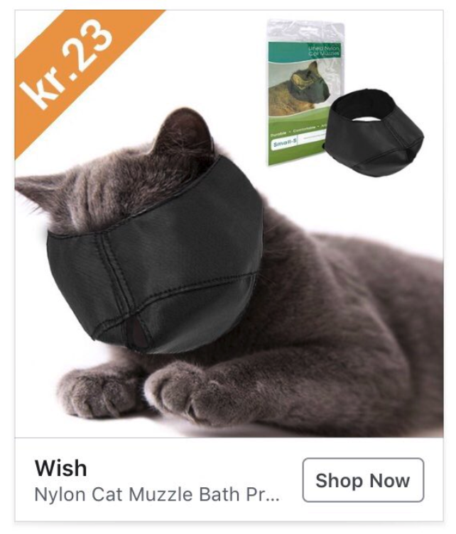 wish.com ads - kitten muzzle