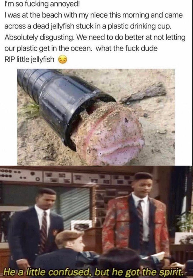 Meme - I'm so fucking annoyed! I was at the beach with my niece this morning and came across a dead jellyfish stuck in a plastic drinking cup. Absolutely disgusting. We need to do better at not letting our plastic get in the ocean. what the fuck dude Rip 
