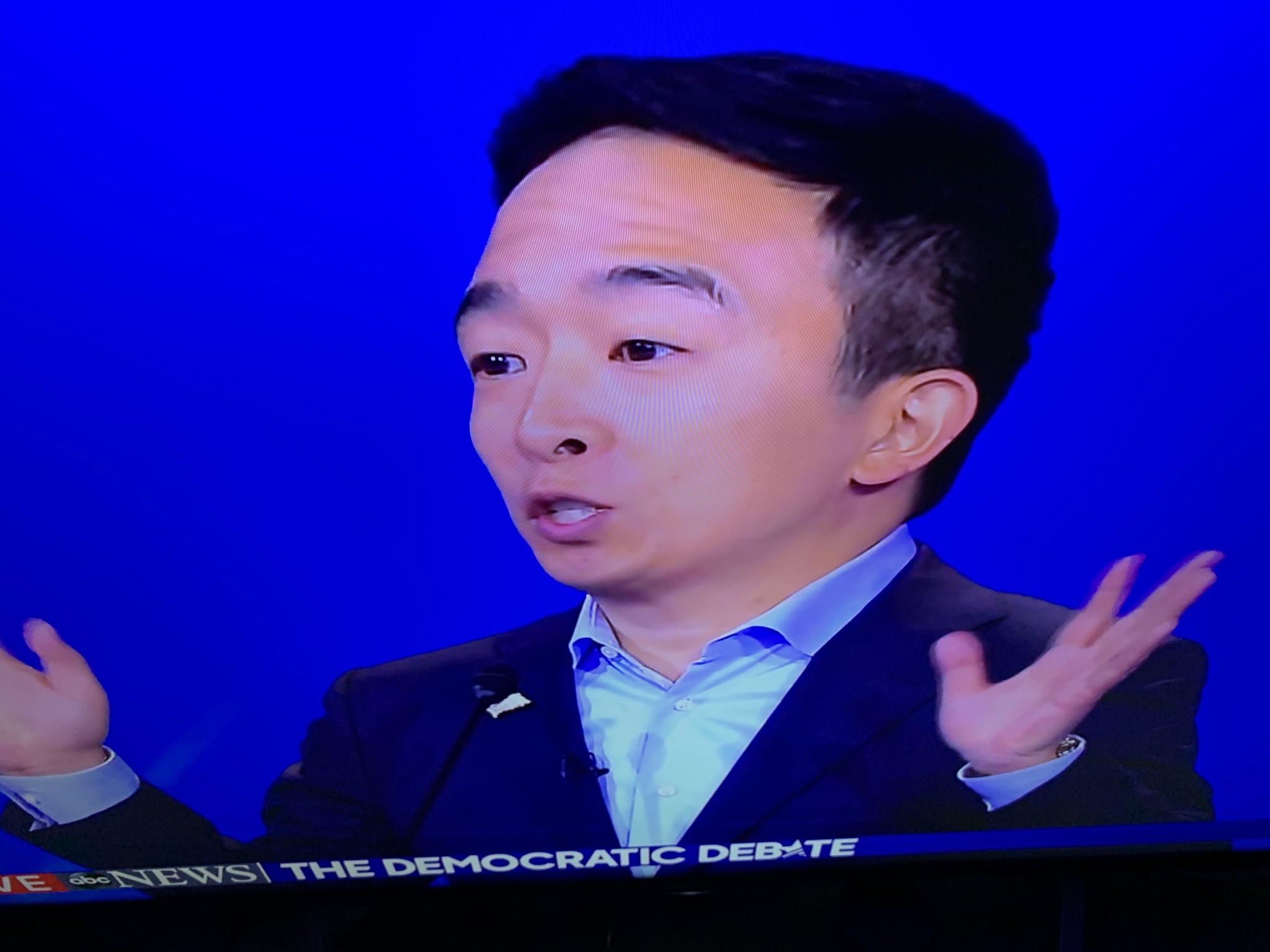 Democrat Candidates With Big Brains - Andrew Yang