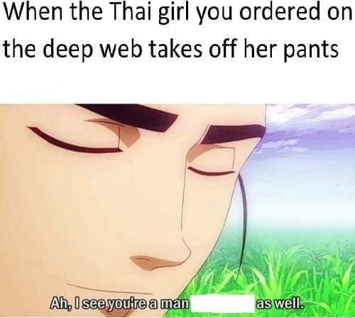 meme - ah i see you re a man - When the Thai girl you ordered on the deep web takes off her pants Ah, I see you're a man as well.