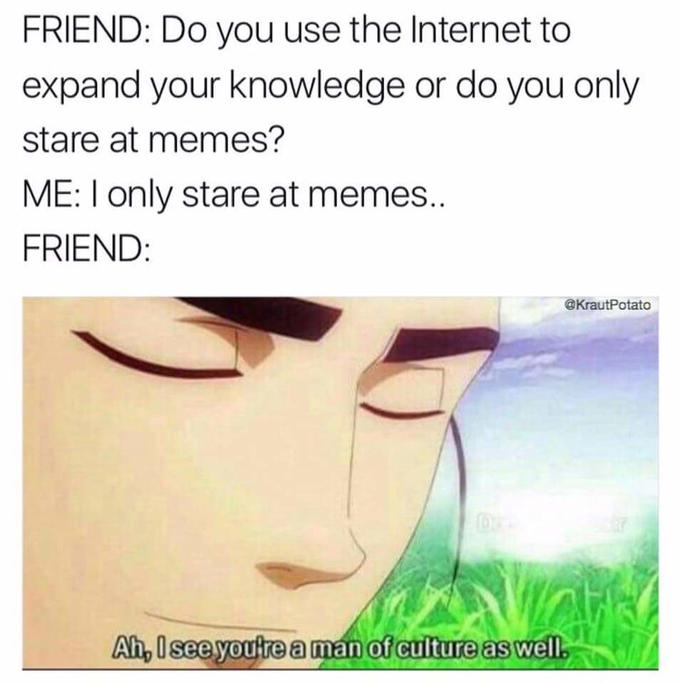 meme - see you too are a man of culture - Friend Do you use the Internet to expand your knowledge or do you only stare at memes? Me I only stare at memes.. Friend Ah, I see you're a man of culture as well.