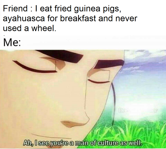 meme - so i see you re a man of culture - Friend I eat fried guinea pigs, ayahuasca for breakfast and never used a wheel. Me Ah, I see you're a man of culture as well.
