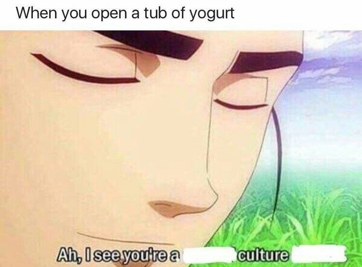 meme - am i like - When you open a tub of yogurt Ah, I see you're a culture