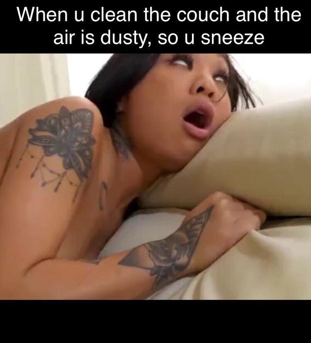 waverley council - When u clean the couch and the air is dusty, so u sneeze