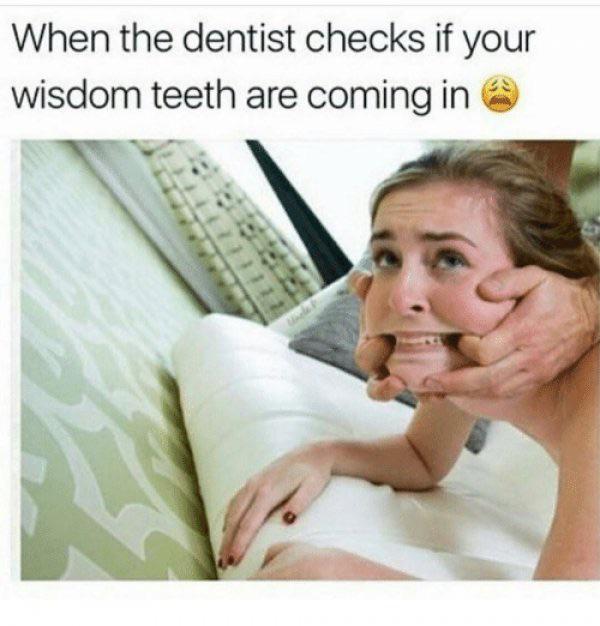 funny porn memes - When the dentist checks if your wisdom teeth are coming in @