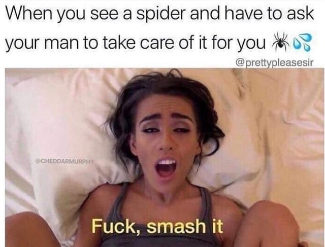 porn memes - When you see a spider and have to ask your man to take care of it for you to us Cocheddarmurph Fuck, smash it