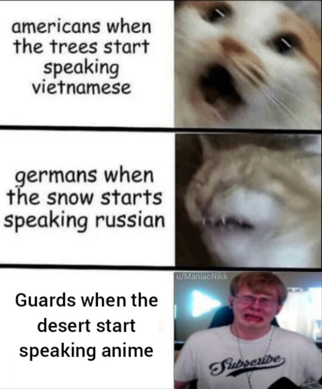 area 51 meme - russians when the snow starts speaking finnish - americans when the trees start speaking vietnamese germans when the snow starts speaking russian uManiacNikk Guards when the desert start speaking anime Subscribe