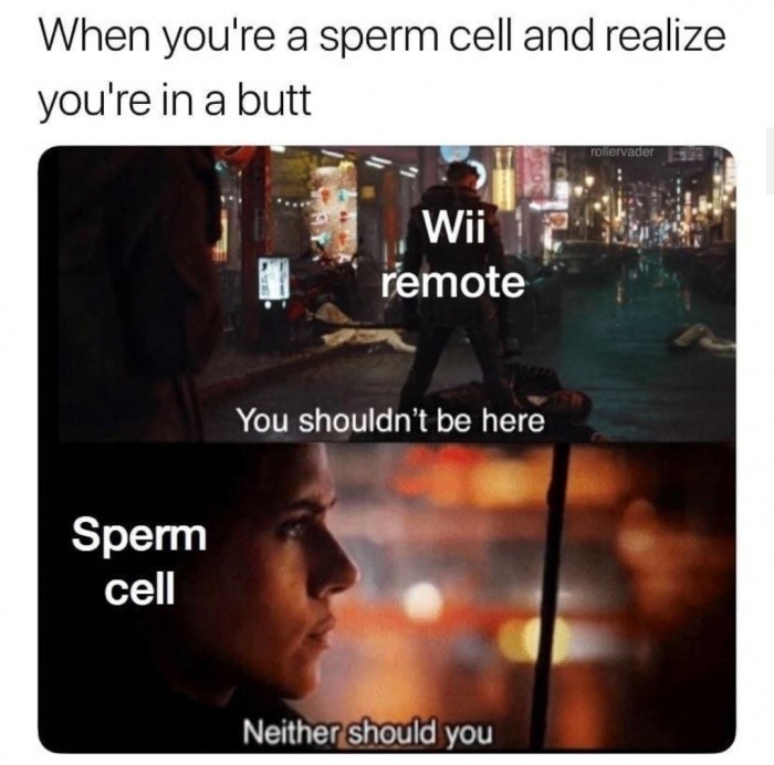 r6 memes - When you're a sperm cell and realize you're in a butt rolervader Wii remote You shouldn't be here Sperm cell Neither should you