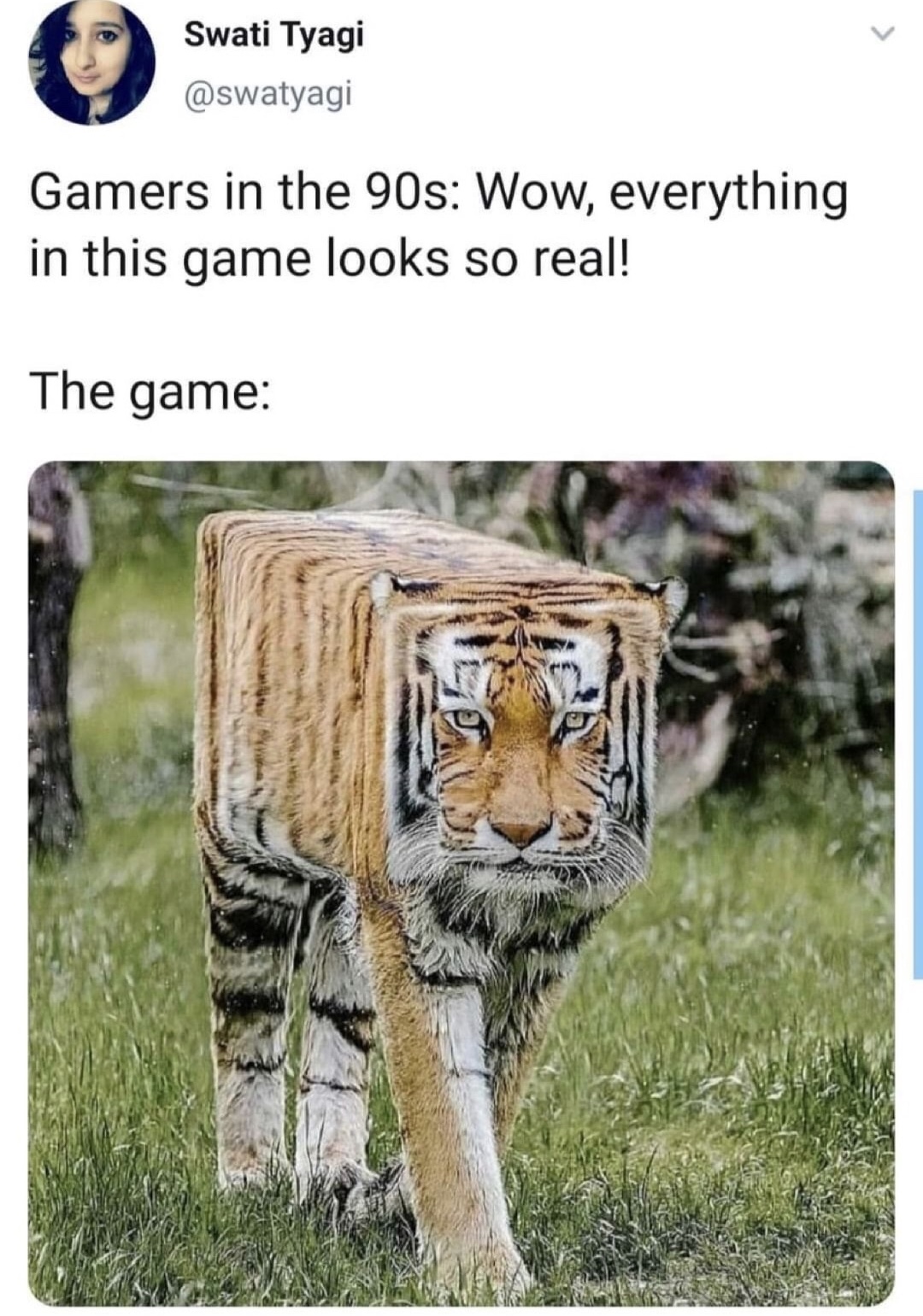 tiger inside me meme - Swati Tyagi Gamers in the 90s Wow, everything in this game looks so real! The game Ta