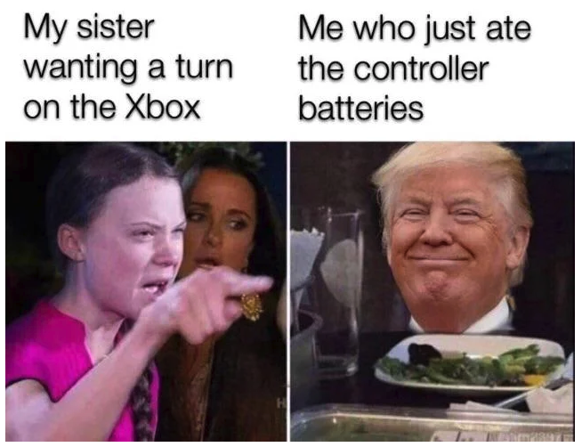 Greta Thunberg memes -My sister wanting a turn on the Xbox Me who just ate the controller batteries