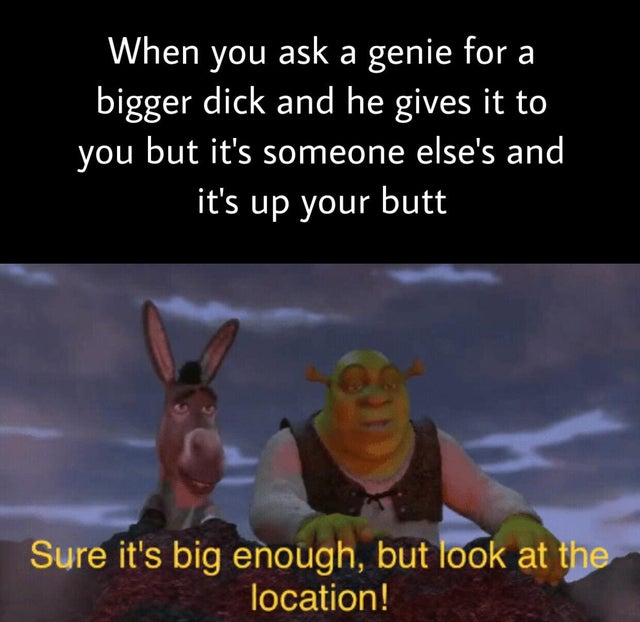 dank meme - photo caption - When you ask a genie for a bigger dick and he gives it to you but it's someone else's and it's up your butt Sure it's big enough, but look at the location!