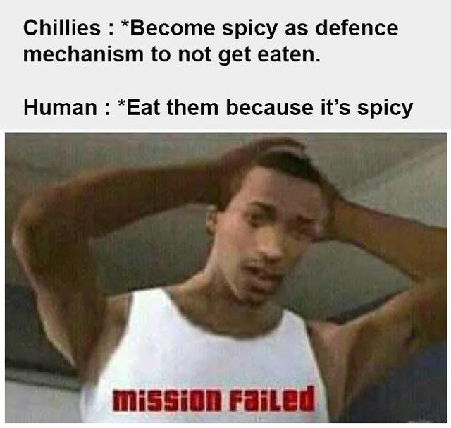 dank meme - violent video games memes - Chillies Become spicy as defence mechanism to not get eaten. Human Eat them because it's spicy mission Failed