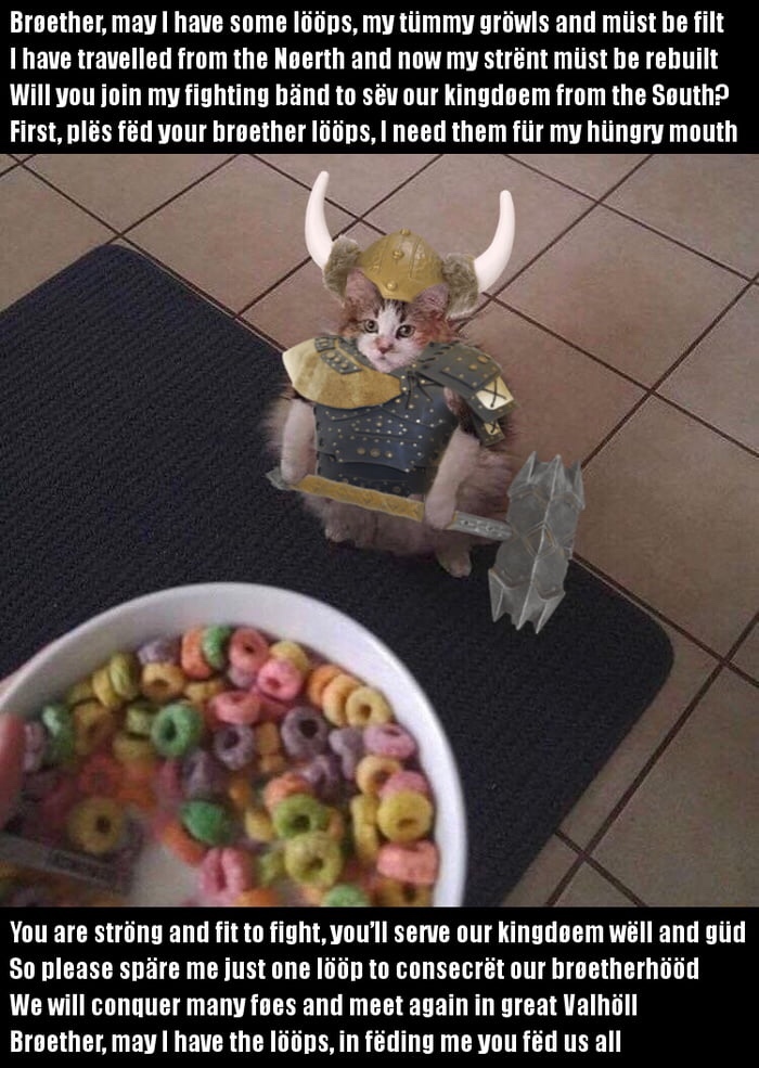 loops cat - may i have some lööps - Brether, may I have some lps, my tmmy grwls and must be filt I have travelled from the Nerth and now my strnt mst be rebuilt Will you join my fighting bnd to sv our kingdoem from the South? First, pls fd your broether l