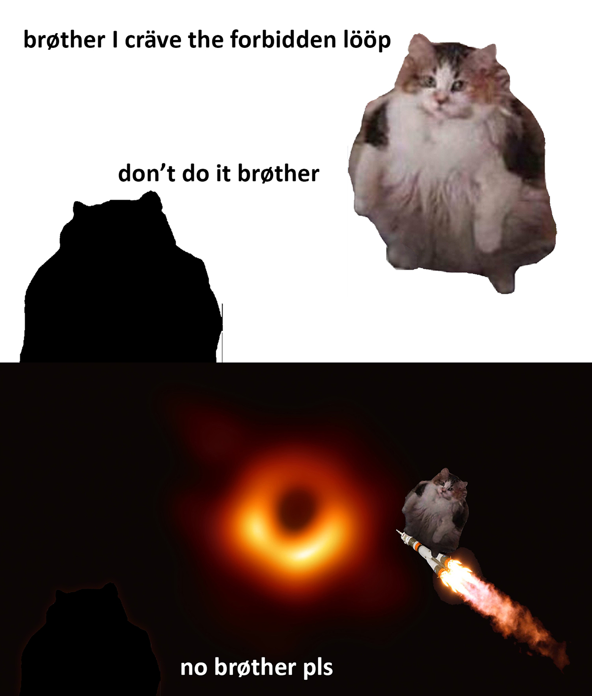 loops cat - black hole meme - brther I crve the forbidden lp don't do it brther no brther pls