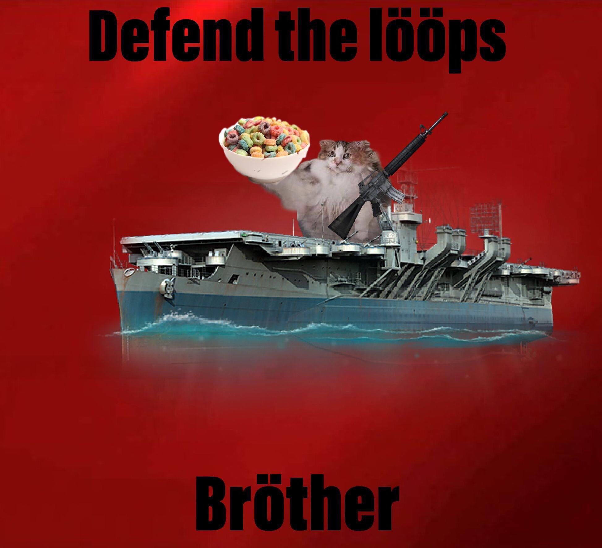 loops cat - poster - Defend the lps Brther