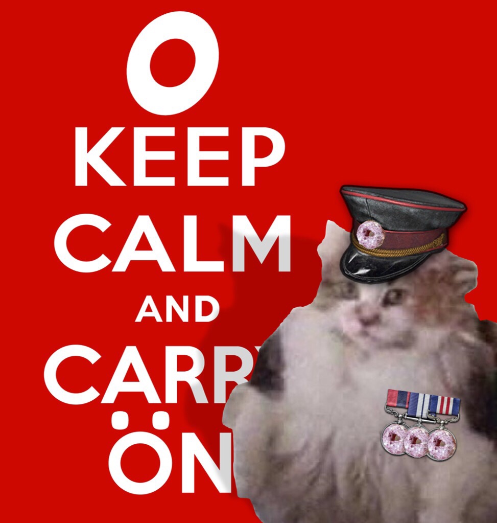 loops cat - keep calm and carry - Keep Calm And Carp N