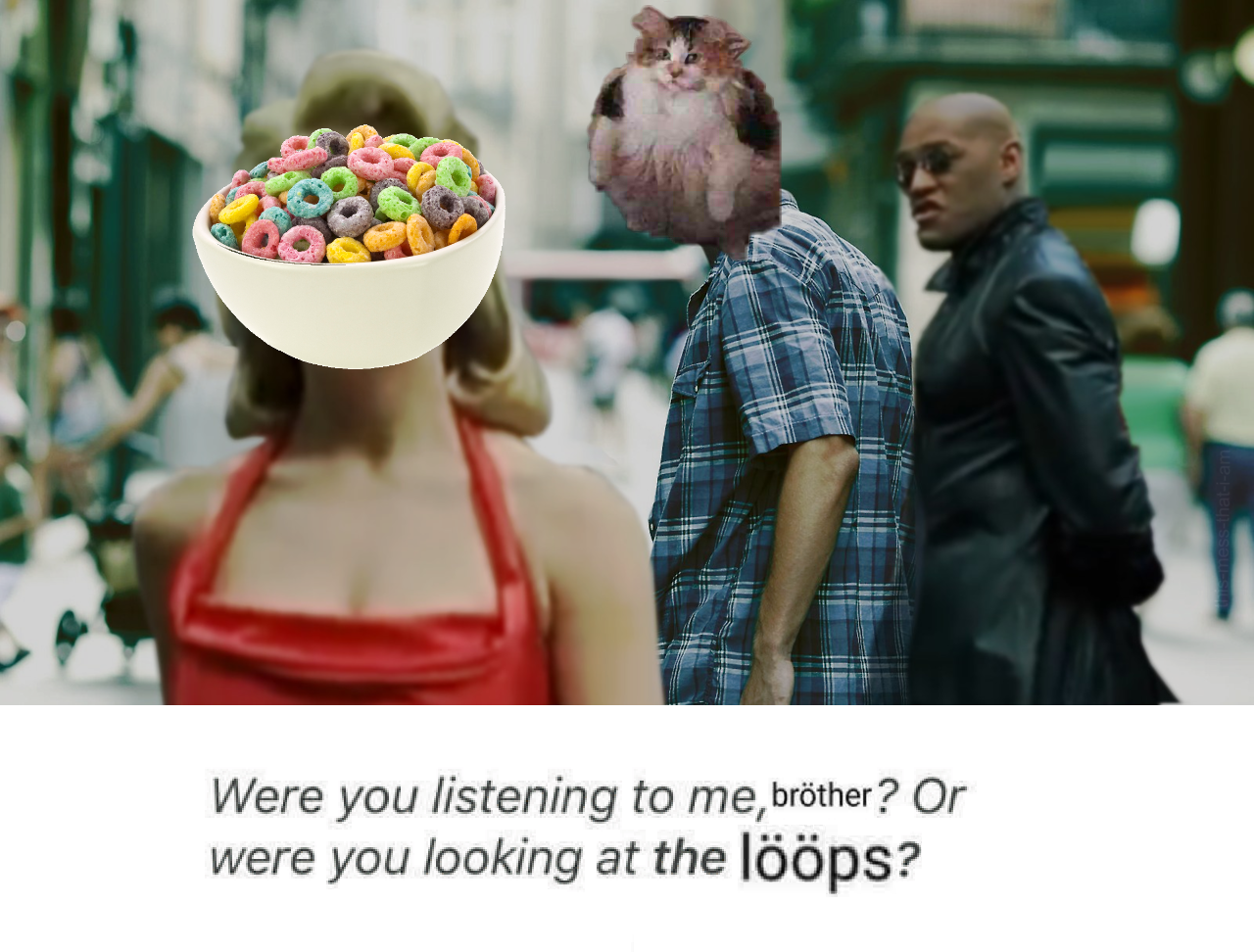 loops cat - were you listening to me neo or were you looking at the woman in the red dress - Were you listening to me, brther ? Or were you looking at th