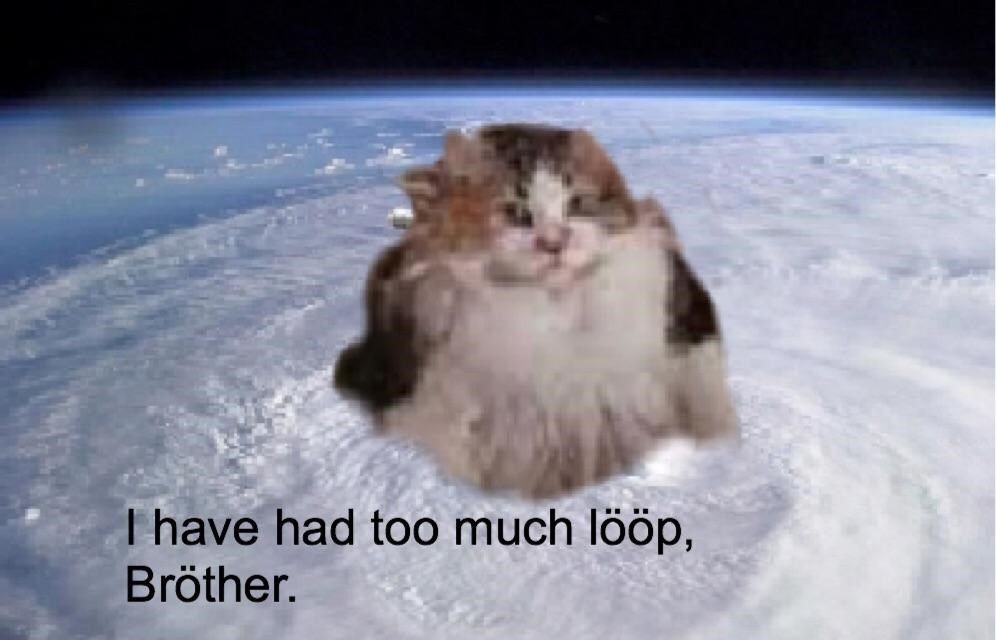 loops cat - lööp brøther - I have had too much lp, Brther.