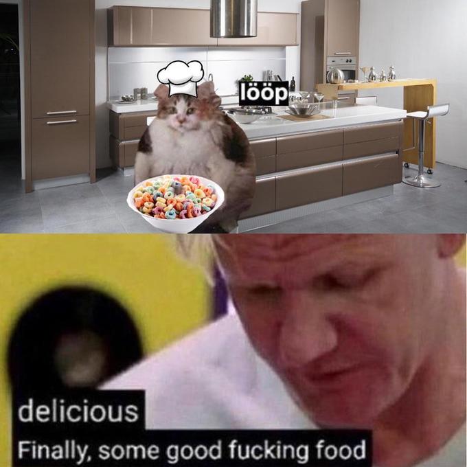 loops cat - loop meme - W tpl delicious Finally, some good fucking food