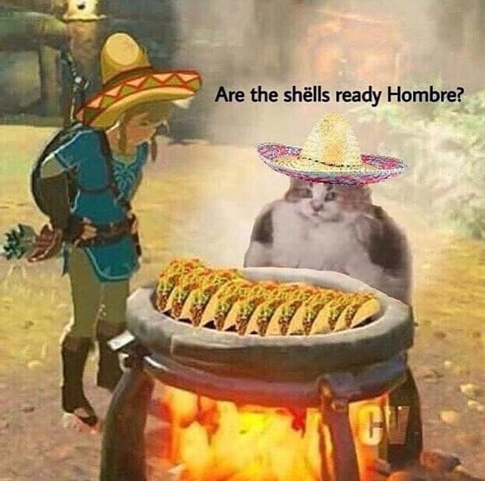 loops cat - lööps ready brother - Are the shlls ready Hombre?