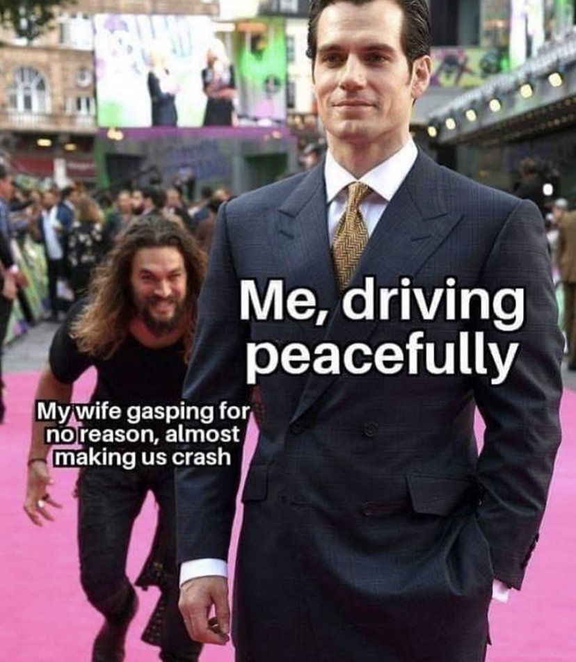 me driving peacefully my wife gasping meme - Me, driving peacefully My wife gasping for no reason, almost making us crash