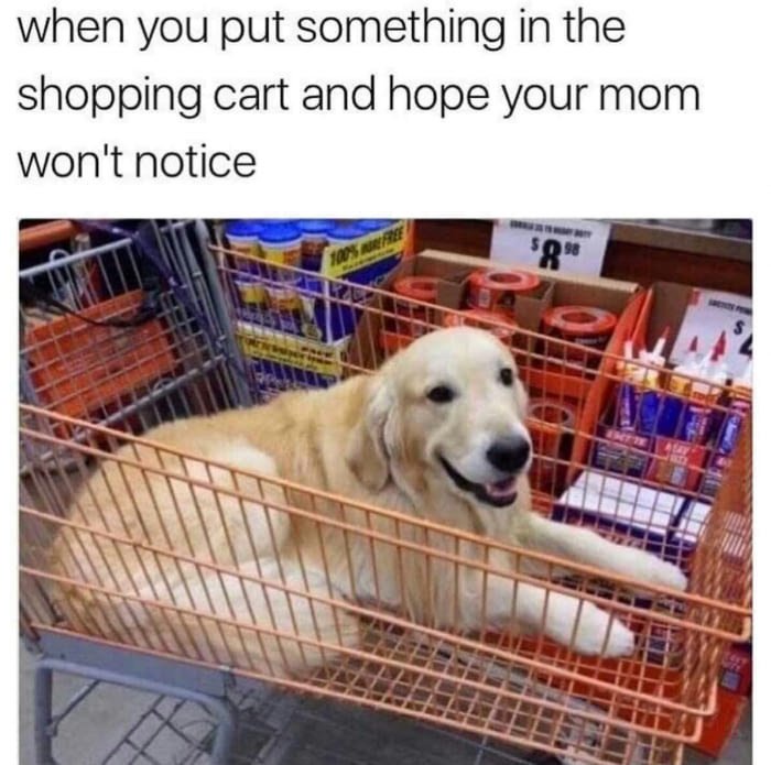 dog in shopping cart meme - when you put something in the shopping cart and hope your mom won't notice S98