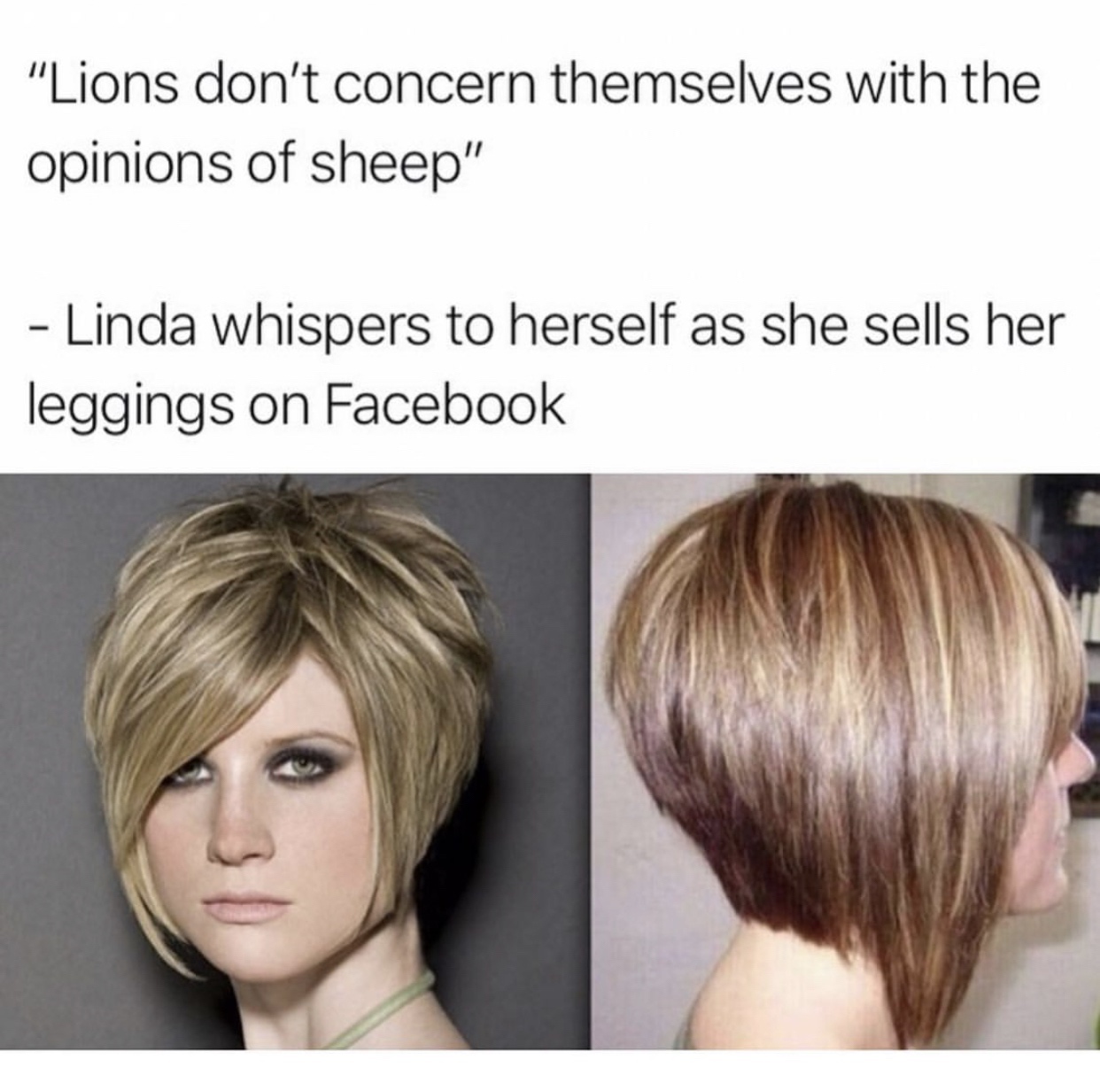 wanna speak to the manager - "Lions don't concern themselves with the opinions of sheep" Linda whispers to herself as she sells her leggings on Facebook