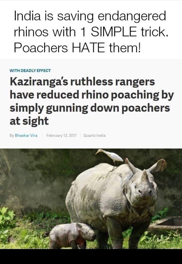 Poaching - India is saving endangered rhinos with 1 Simple trick. Poachers Hate them! With Deadly Effect Kaziranga's ruthless rangers have reduced rhino poaching by simply gunning down poachers at sight By Bhaskar Vira Quartz India