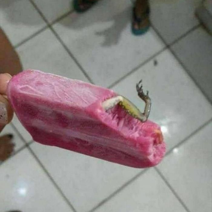 cursed food - frog in popsicle