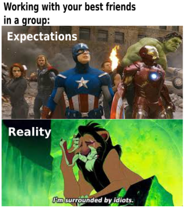 best memes - scar surrounded by idiots - Working with your best friends in a group Expectations Reality I'm surrounded by idiots.