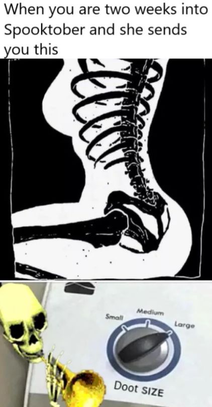 best memes - spooktober memes - When you are two weeks into Spooktober and she sends you this Medium Large Doot Size