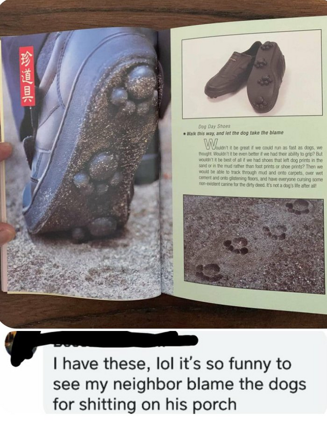 dog day shoes - I have these, lol it's so funny to see my neighbor blame the dogs for shitting on his porch