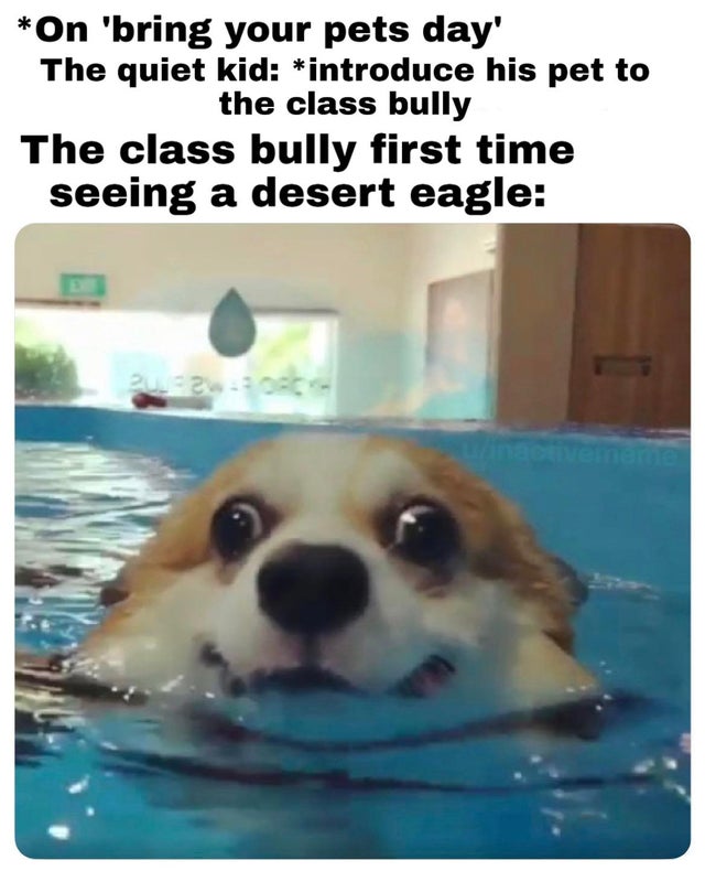 Meme - On 'bring your pets day' The quiet kid introduce his pet to the class bully The class bully first time seeing a desert eagle