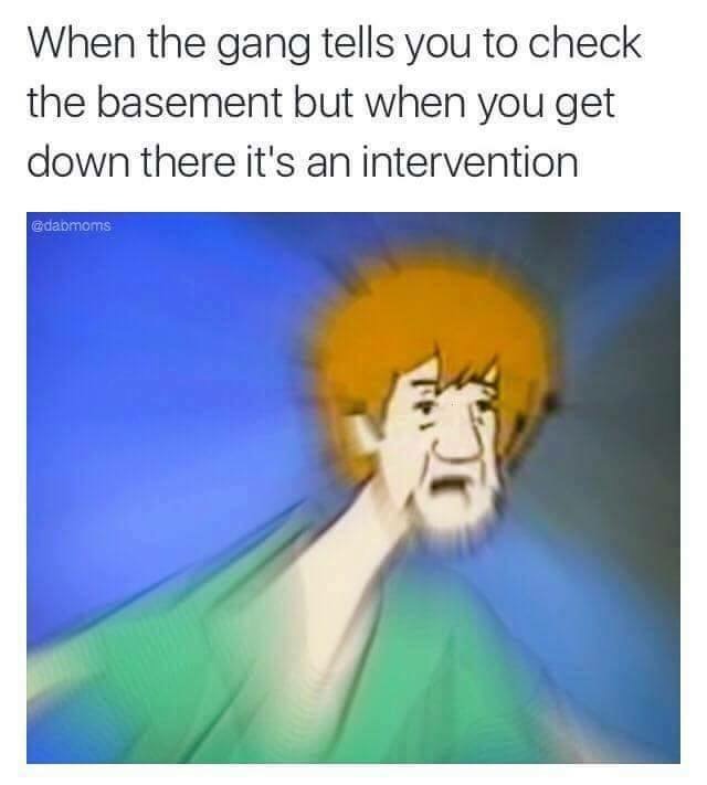 shaggy zoinks meme - When the gang tells you to check the basement but when you get down there it's an intervention
