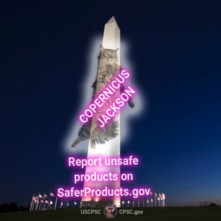landmark - Copernicus Jackson Report unsafe products on SaferProducts.gov Uscpsccpsc.gov