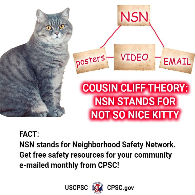 cephei - Nsn Video posters Email Cousin Cliff Theory Nsn Stands For Not So Nice Kitty Fact Nsn stands for Neighborhood Safety Network. Get free safety resources for your community emailed monthly from Cpsc! Uscpsc Cpsc.gov