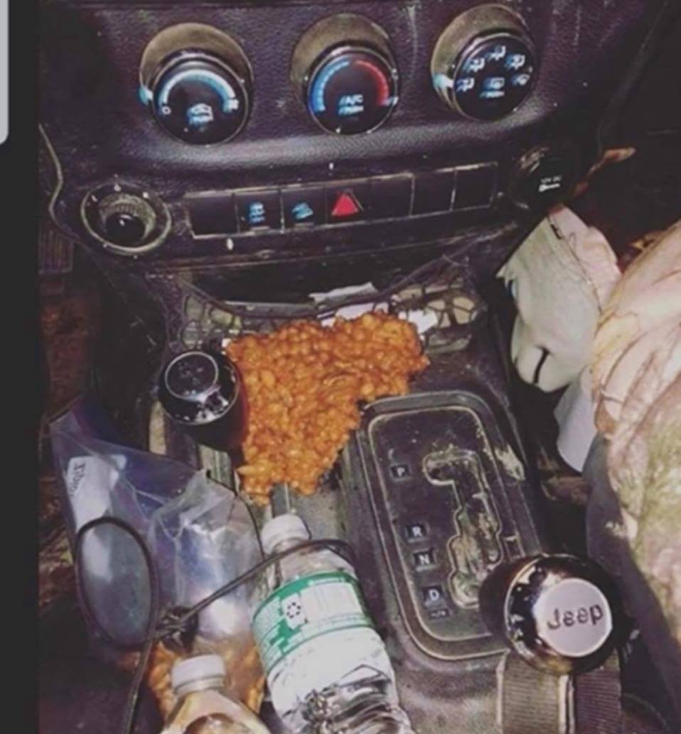 cursed image - car filled with beans - Jeep
