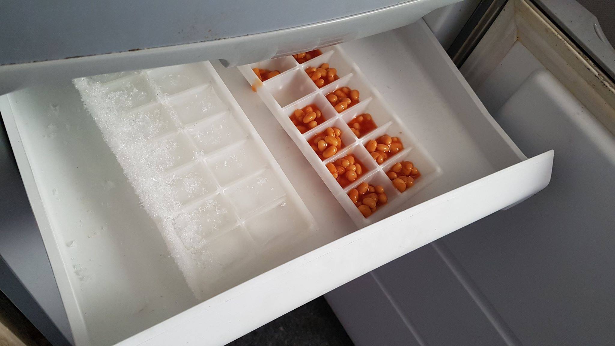 cursed image - baked beans in ice cubes