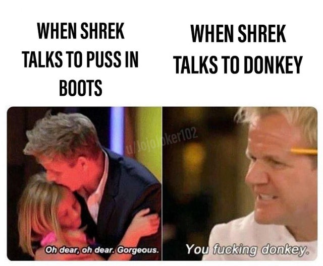 meme - gordon ramsay you donkey meme - When Shrek Talks To Puss In Boots When Shrek Talks To Donkey ulojoker102 Oh dear, oh dear. Gorgeous. You fucking donkey