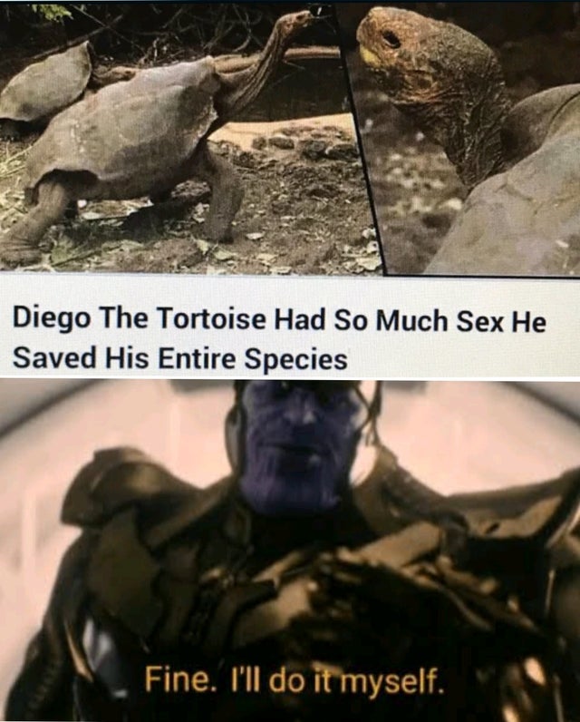 meme - fine i ll do it myself - Diego The Tortoise Had So Much Sex He Saved His Entire Species Fine. I'll do it myself.