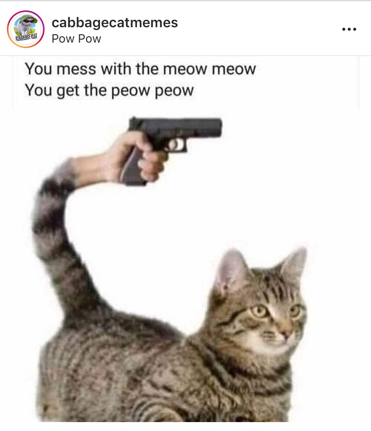 mess with the mew mew get the pew pew - cabbagecatmemes Pow Pow Bach You mess with the meow meow You get the peow peow