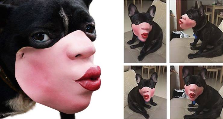 human face dog muzzle