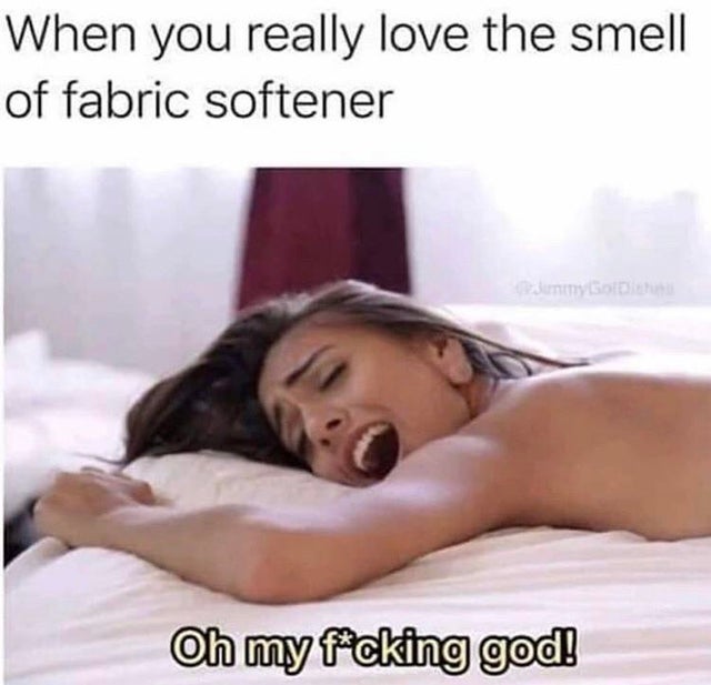 janice griffith fabric softener meme - When you really love the smell of fabric softener Oh my fcking god!